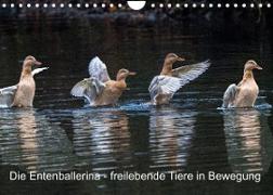 Die Entenballerina - freilebende Tiere in Bewegung (Wandkalender 2023 DIN A4 quer)