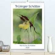 Thüringer Schätze (Premium, hochwertiger DIN A2 Wandkalender 2023, Kunstdruck in Hochglanz)