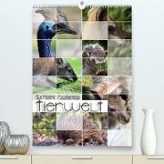 Australiens faszinierende Tierwelt (Premium, hochwertiger DIN A2 Wandkalender 2023, Kunstdruck in Hochglanz)