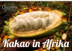 Kakao in Afrika (Wandkalender 2023 DIN A2 quer)