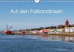 Auf den Falklandinseln (Wandkalender 2023 DIN A4 quer)