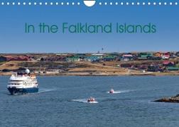 In the Falkland Islands (Wall Calendar 2023 DIN A4 Landscape)