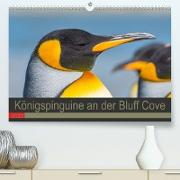 Königspinguine an der Bluff Cove (Premium, hochwertiger DIN A2 Wandkalender 2023, Kunstdruck in Hochglanz)