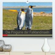 Die Pinguine der Falklandinseln (Premium, hochwertiger DIN A2 Wandkalender 2023, Kunstdruck in Hochglanz)
