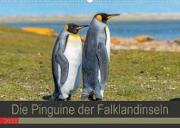 Die Pinguine der Falklandinseln (Wandkalender 2023 DIN A2 quer)