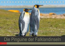 Die Pinguine der Falklandinseln (Tischkalender 2023 DIN A5 quer)