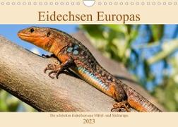 Eidechsen Europas (Wandkalender immerwährend DIN A4 quer)