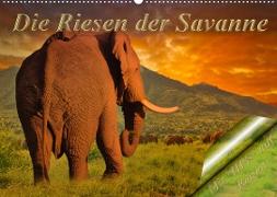 Die Riesen der Savanne (Wandkalender 2023 DIN A2 quer)