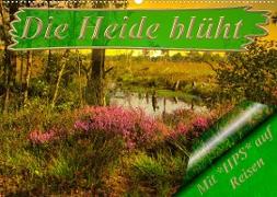 Die Heide blüht (Wandkalender 2023 DIN A2 quer)