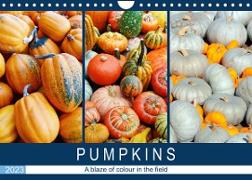 Pumpkins - A blaze of colour in the field (Wall Calendar 2023 DIN A4 Landscape)