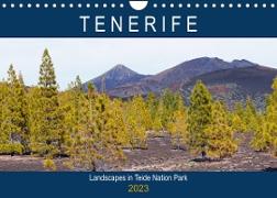Tenerife - Landscapes of Teide National Park (Wall Calendar 2023 DIN A4 Landscape)