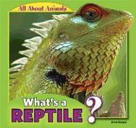 What's a Reptile?