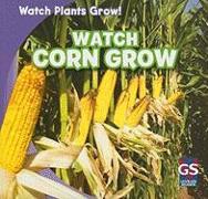 Watch Corn Grow