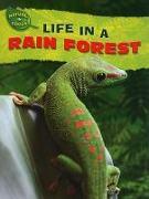 Life in a Rain Forest