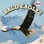 Bald Eagles