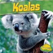 Koalas