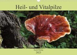 Heil- und Vitalpilze (Wandkalender 2023 DIN A3 quer)