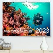 Die schönsten Korallenriffe zum Tauchen in Ägypten (Premium, hochwertiger DIN A2 Wandkalender 2023, Kunstdruck in Hochglanz)