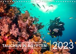 Die schönsten Korallenriffe zum Tauchen in Ägypten (Wandkalender immerwährend DIN A4 quer)