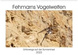Fehmarn Vogelwelten (Wandkalender 2023 DIN A2 quer)