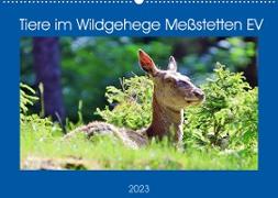 Tiere im Wildgehege Meßstetten EV (Wandkalender 2023 DIN A2 quer)