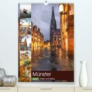 Münster - Stadt und Natur (Premium, hochwertiger DIN A2 Wandkalender 2023, Kunstdruck in Hochglanz)