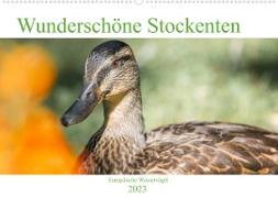 Wunderschöne Stockenten - Europäische Wasservögel (Wandkalender 2023 DIN A2 quer)