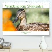 Wunderschöne Stockenten - Europäische Wasservögel (Premium, hochwertiger DIN A2 Wandkalender 2023, Kunstdruck in Hochglanz)