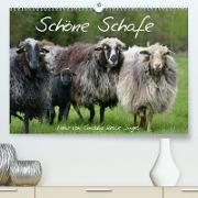 Schöne Schafe (Premium, hochwertiger DIN A2 Wandkalender 2023, Kunstdruck in Hochglanz)