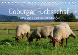Coburger Fuchsschaf (Tischkalender 2023 DIN A5 quer)