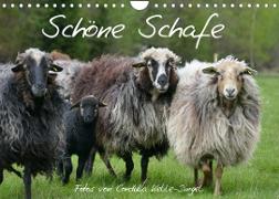 Schöne Schafe (Wandkalender 2023 DIN A4 quer)
