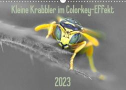 Kleine Krabbler im Colorkey-Effekt (Wandkalender 2023 DIN A3 quer)