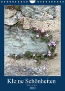 Kleine Schönheiten an Stein (Wandkalender 2023 DIN A4 hoch)