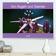 Von Kugeln und Sternen (Premium, hochwertiger DIN A2 Wandkalender 2023, Kunstdruck in Hochglanz)