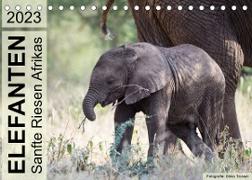 Elefanten - Sanfte Riesen Afrikas (Tischkalender 2023 DIN A5 quer)