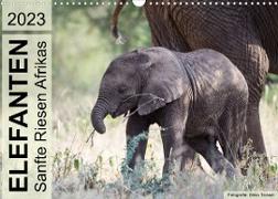 Elefanten - Sanfte Riesen Afrikas (Wandkalender 2023 DIN A3 quer)