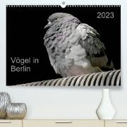 Vögel in Berlin (Premium, hochwertiger DIN A2 Wandkalender 2023, Kunstdruck in Hochglanz)
