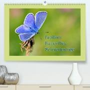 Papillons-Butterflies-Schmetterlinge (Premium, hochwertiger DIN A2 Wandkalender 2023, Kunstdruck in Hochglanz)
