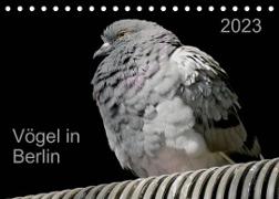 Vögel in Berlin (Tischkalender 2023 DIN A5 quer)