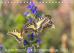 Bunte Pracht der Schmetterlinge (Tischkalender 2023 DIN A5 quer)