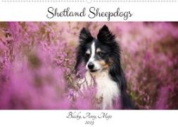 Shetland Sheepdogs Blacky, Anry, Mojo 2023 (Wandkalender 2023 DIN A2 quer)