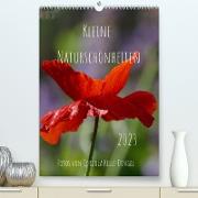 Kleine Naturschönheiten (Premium, hochwertiger DIN A2 Wandkalender 2023, Kunstdruck in Hochglanz)