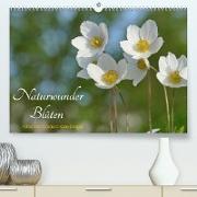 Naturwunder Blüten (Premium, hochwertiger DIN A2 Wandkalender 2023, Kunstdruck in Hochglanz)