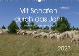 Mit Schafen durch das Jahr (Wandkalender 2023 DIN A3 quer)