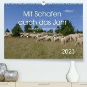 Mit Schafen durch das Jahr (Premium, hochwertiger DIN A2 Wandkalender 2023, Kunstdruck in Hochglanz)