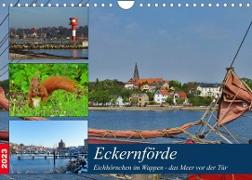 Eckernförde. Eichhörnchen im Wappen - das Meer vor der Tür (Wandkalender 2023 DIN A4 quer)