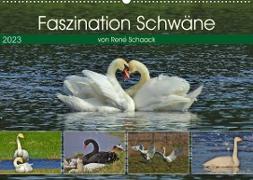 Faszination Schwäne (Wandkalender 2023 DIN A2 quer)