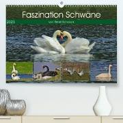 Faszination Schwäne (Premium, hochwertiger DIN A2 Wandkalender 2023, Kunstdruck in Hochglanz)