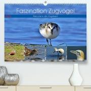 Faszination Zugvögel - Rekorde in der Vogelwelt (Premium, hochwertiger DIN A2 Wandkalender 2023, Kunstdruck in Hochglanz)