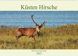 Küsten Hirsche - Rotwild auf dem Darß (Wandkalender 2023 DIN A2 quer)